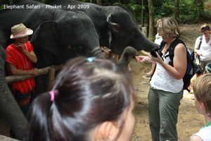 20090417 Half Day Safari - Elephant  32 of 57 